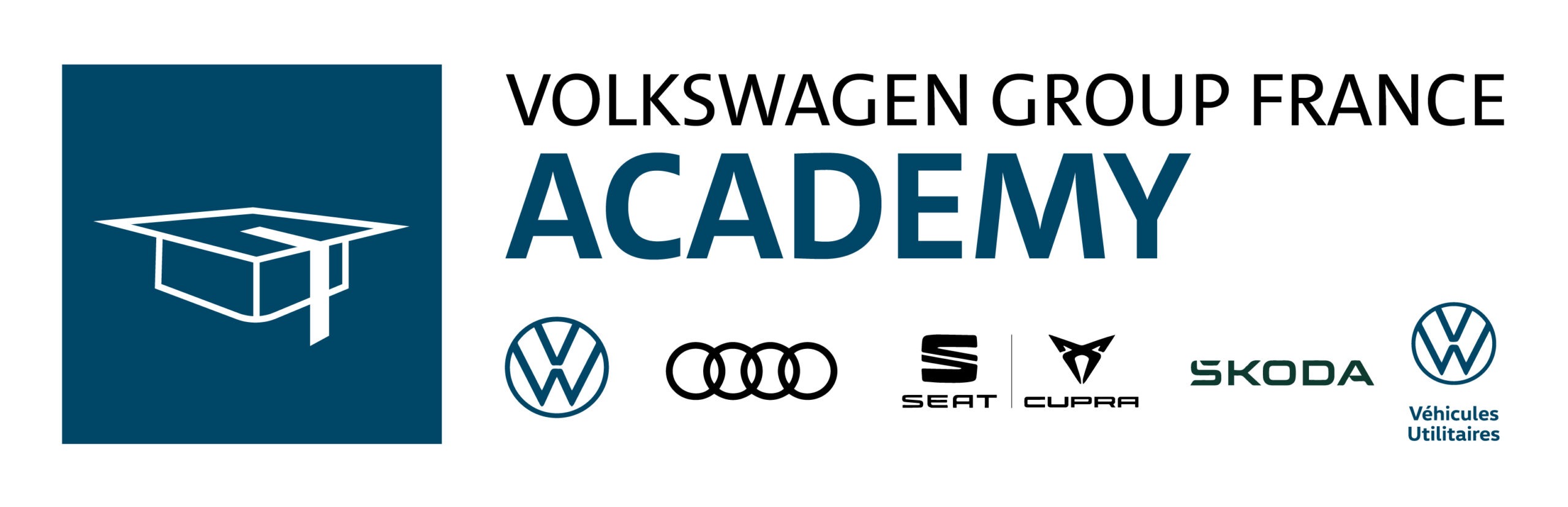 logo_vgf_academy